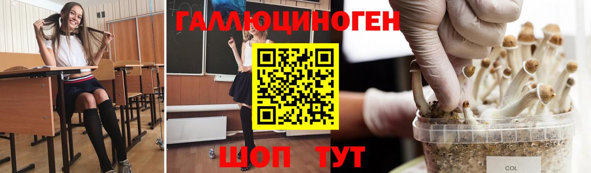 Кандалакша  Псилоцибиновые грибы мухоморы  Вход с VPN 